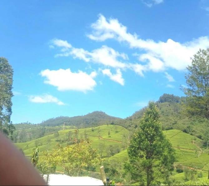 Nuwaraeliya Penthouse Apartment With Pool & Panaromic Views Nuwara Eliya Extérieur photo